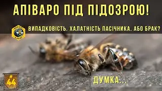 Апіваро під підозрою. Beewell. Випадковість, халатність пасічника чи всеж брак?