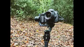 Can the DJI Ronin SC gimbal work with DSLRs like the Canon 5D4?