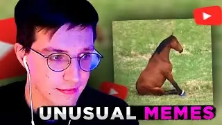 МАЗЕЛЛОВ СМОТРИТ: UNUSUAL MEMES COMPILATION V235 / РЕАКЦИЯ МАЗЕЛЛОВА