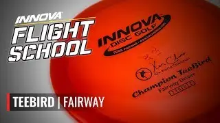 Innova Flight School: Teebird