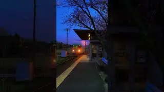 5 AM IN JAPAN