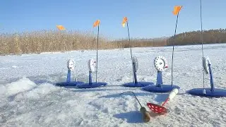 Рыбалка 2023 зимой на щуку. Ловля на жерлицы. Такого клёва не ожидал!