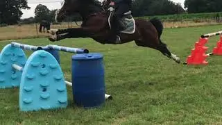 Horse fails 2020