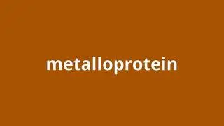 what is the meaning of metalloprotein