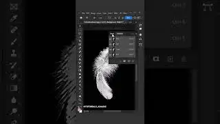 Select complicated feather in photoshop 