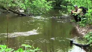 Весенняя рыбалка на живописной речке.Fishing on spring creek