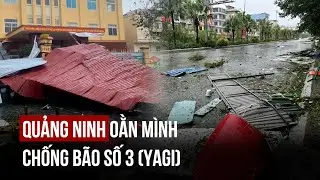 Bão số 3 (YAGI) tàn phá Quảng Ninh, người dân khiếp sợ