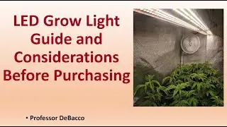 LED Grow Light Guide and Considerations Before Purchasing