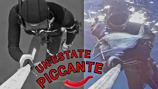 Pescasub: UN'ESTATE PICCANTE -- Spearfishing