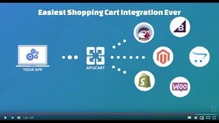 API2Cart: Easy Shopping Cart and Marketplace Integration