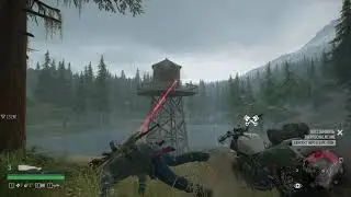 DaysGone забавная ситуация с медведем