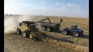 Canola harvest 2017(picking up swath). Canada. (4K video). MY AGRO