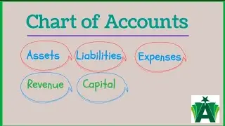 Financial Accounting | Chart of Accounts |