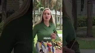 Как контент может продать ваши идеи? Узнайте секреты успеха!