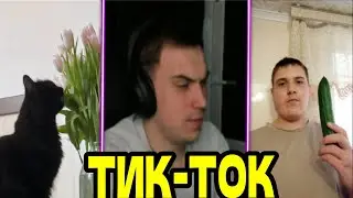 SASAVOT/СМОТРИТ ТИКТОКИ 5.5 (ОЦЕНКА 5)