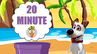20 Minute Ghicitorile Catelusului Milo
