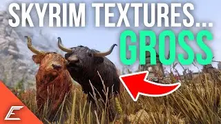These Skyrim Textures NEED to be FIXED | Bad Skyrim Textures