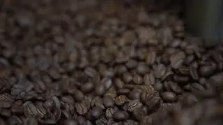 PERBEDAAN Biji kopi ROBUSTA, ARABIKA, DAN HOUSEBLEND