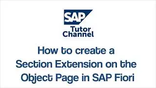 How To Create A Section Extension On The Object Page In Sap Fiori