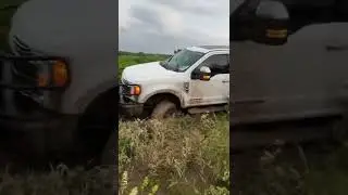 (FORD)Found off road dead