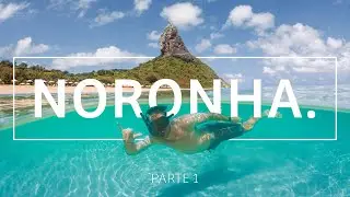 FERNANDO DE NORONHA: DICAS e PASSEIOS em um dos lugares mais lindos do MUNDO! (com preços) | PT. 1