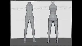 Autodesk Maya 2019 Woman Leg ( 8 sided cylinder) and  buttock