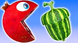 Pacman Pomegranate Kid on the farm as he finds Acorn shaped Watermelon and meets Goat and Cat