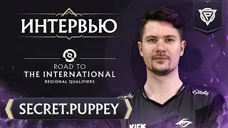 «Пьюр и Рамзес не стакаются? Это может быть правда.» – Secret.Puppey в интервью на Road to TI 2024