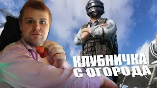 КЛУБНИЧКА С ОГОРОДА ▷ PUBG! | СТРИМ ▷ STREAM!