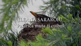 Ileana Sararoiu - Pasarica muta-ti cuibul (versuri, lyrics, karaoke)