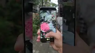 Google Pixel 9 Pro Xl Zoom Test 🔥