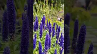 Sunken gardens bc ! Magical spot!! #princerupert #bc #westcoast