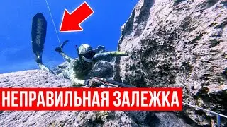 Подводная охота в залежке / 6 лайфхаков для повышения эффективности!