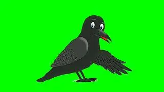 crow green screen// flying crow//telling crow .