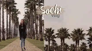 VLOG СОЧИ 🌴 перестановка в комнате