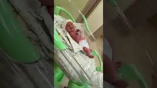 Копия папы..