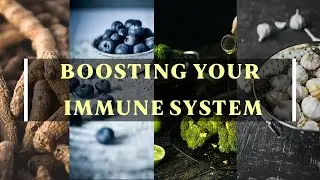 Boosting Your Immune System with Super Foods!