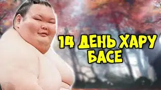 14 день Хару Басё элитный дивизион дзере