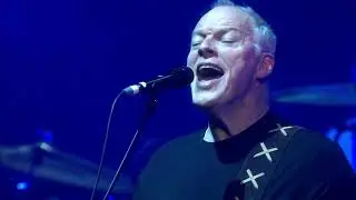 David Gilmour - Live at Royal Albert Hall (2006)