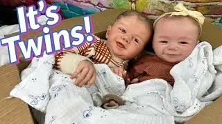 TWINS!! Reborn Baby Doll Box Opening