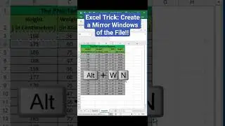 Excel Trick: Create a Mirror Windows of the File!!