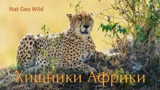 Nat Geo Wild. Хищники Африки.