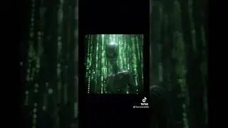 Grey aliens in the matrix.