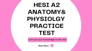 Anatomy & Physiology Practice Test 2024-2025