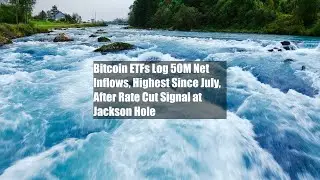 Bitcoin ETFs Log $250M Net Inflows, Highest Since July, After Rate Cut Signal at Jackson Hole