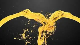 Paint Splash Logo Reveal After Effect & Premiere Pro Motion Graphics Template Files