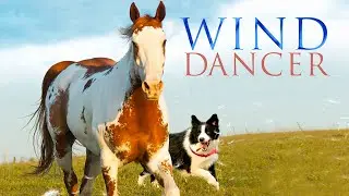 Wind Dancer (1993) | Full Movie | Mel Harris | Matt McCoy | Brian Keith