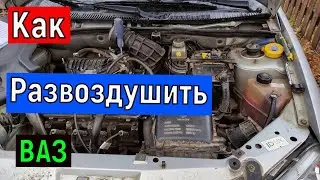 Не греет печка в машине  Воздушная пробка в системе охлаждения  Как слить часть антифриза  тосола