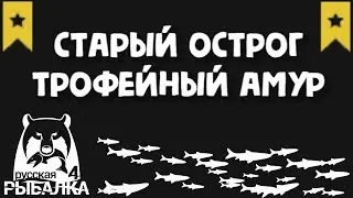 Старый острог. Трофейный амур. Русская рыбалка 4.