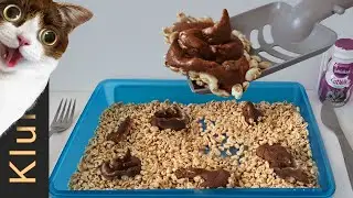 Shitty ASMR: Cat Poop Fudge